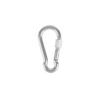 Carabiner with screw8 cms