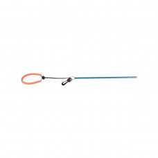 Pointer with lanyard blue
