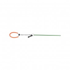 Pointer with lanyard green