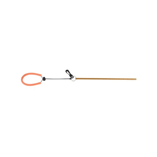 Pointer met lanyard