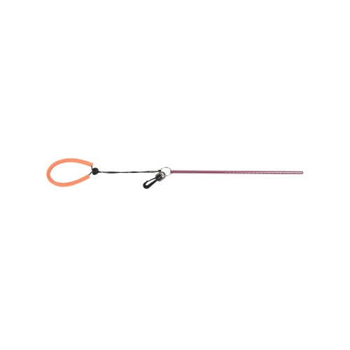Pointer met lanyard