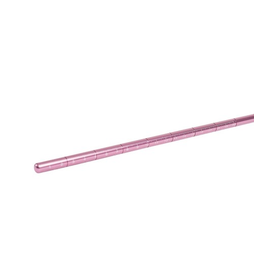 Pointer met lanyard