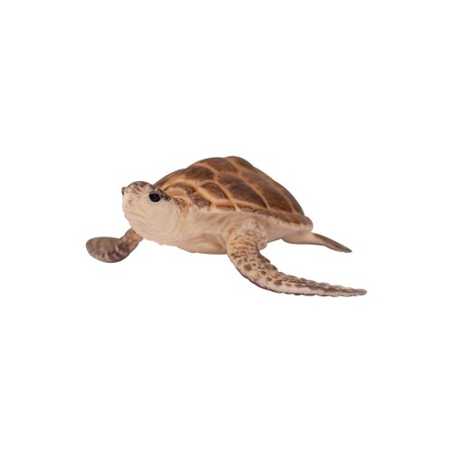 Toy zeedier - schildpad