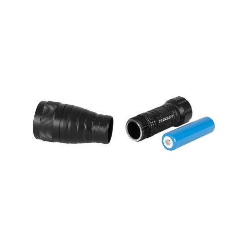 Prolight 800 - video